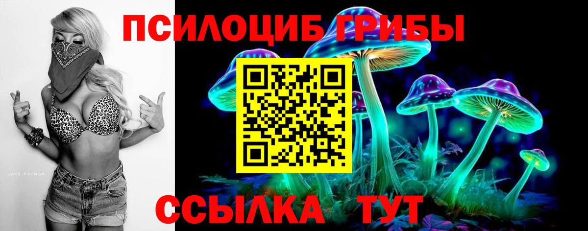Псилоцибиновые грибы мицелий  Вход с VPN  Лянтор 