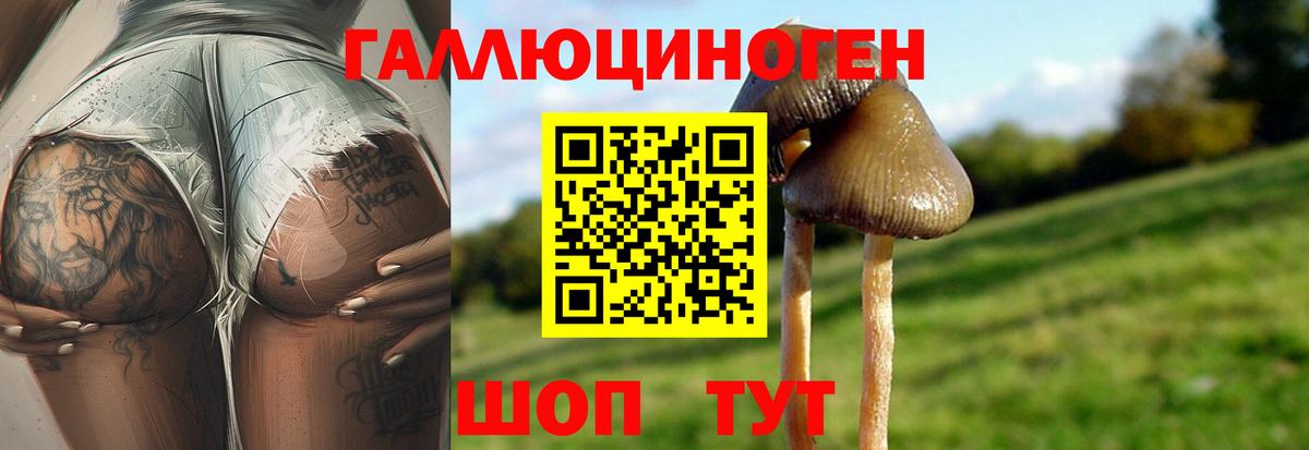 Галлюциногенные грибы ЛСД Лянтор