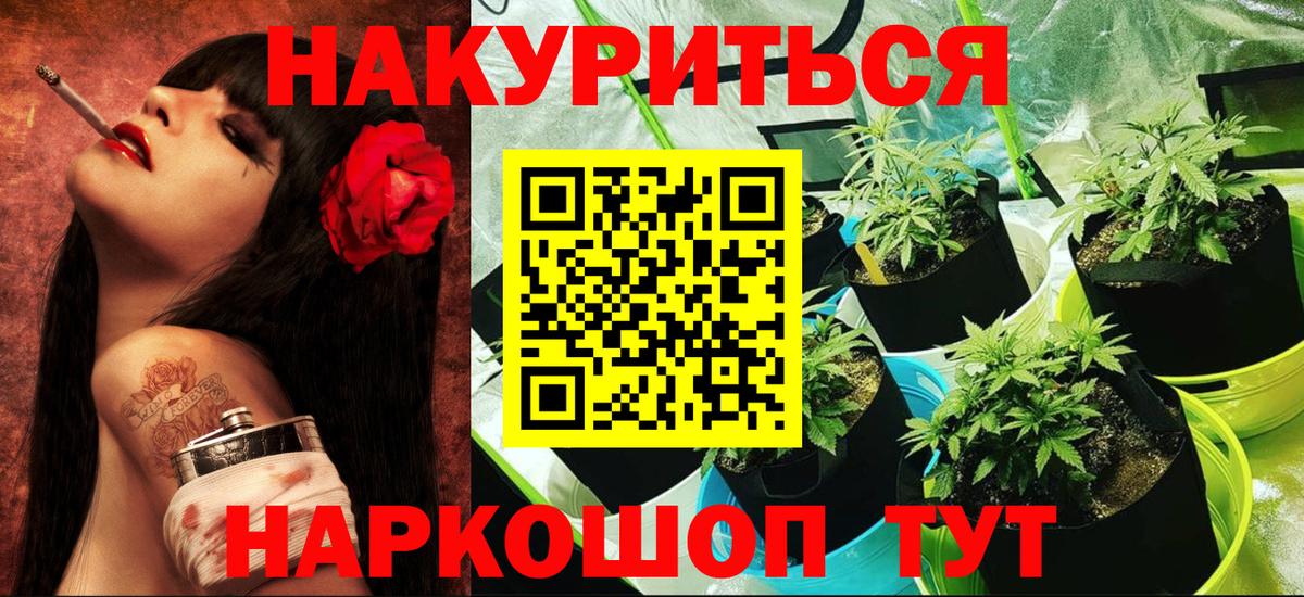 Бошки Шишки сатива Лянтор